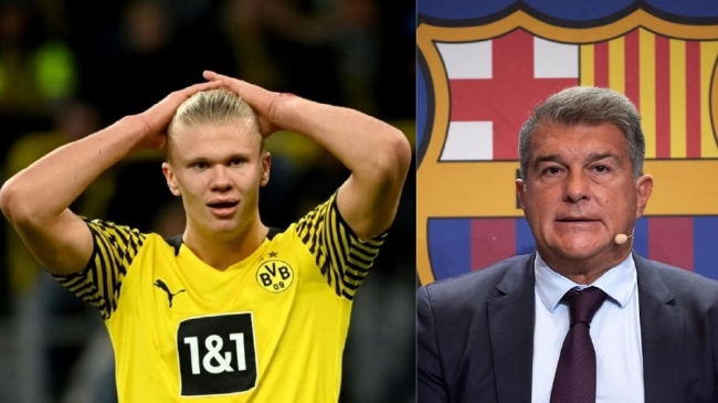 优化部